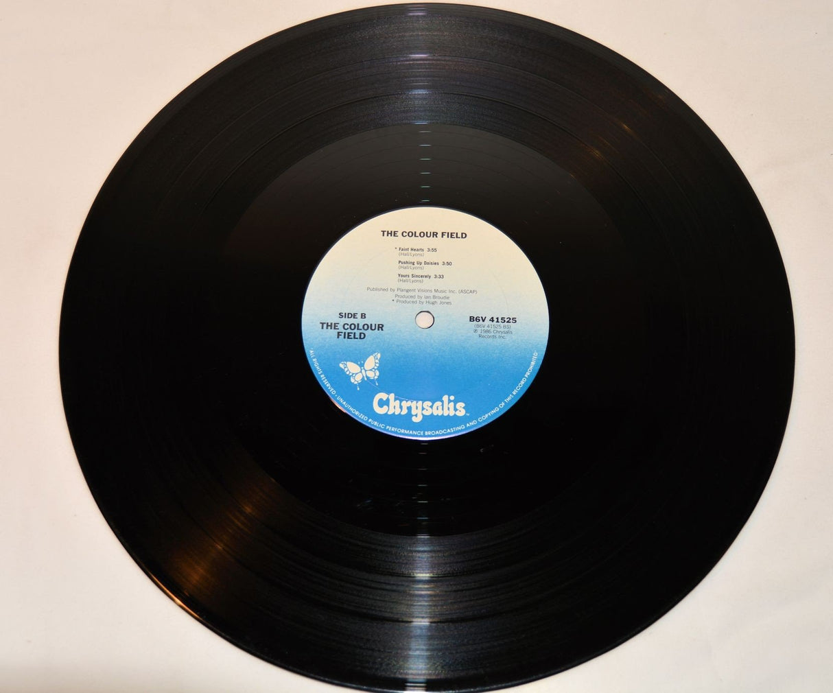 Colour Field, The - The Colour Field