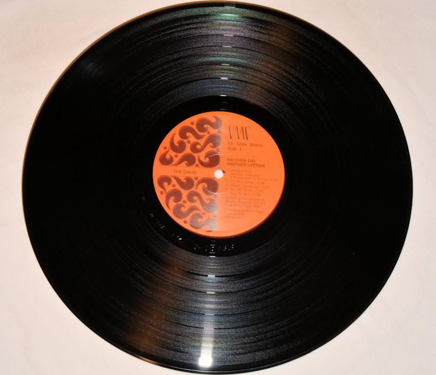 David, The - Another Day Another Lifetime