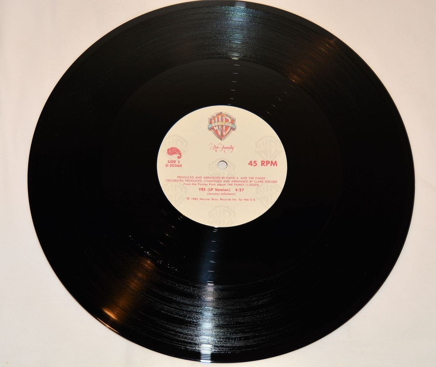 Family, The - The Screams Of Passion