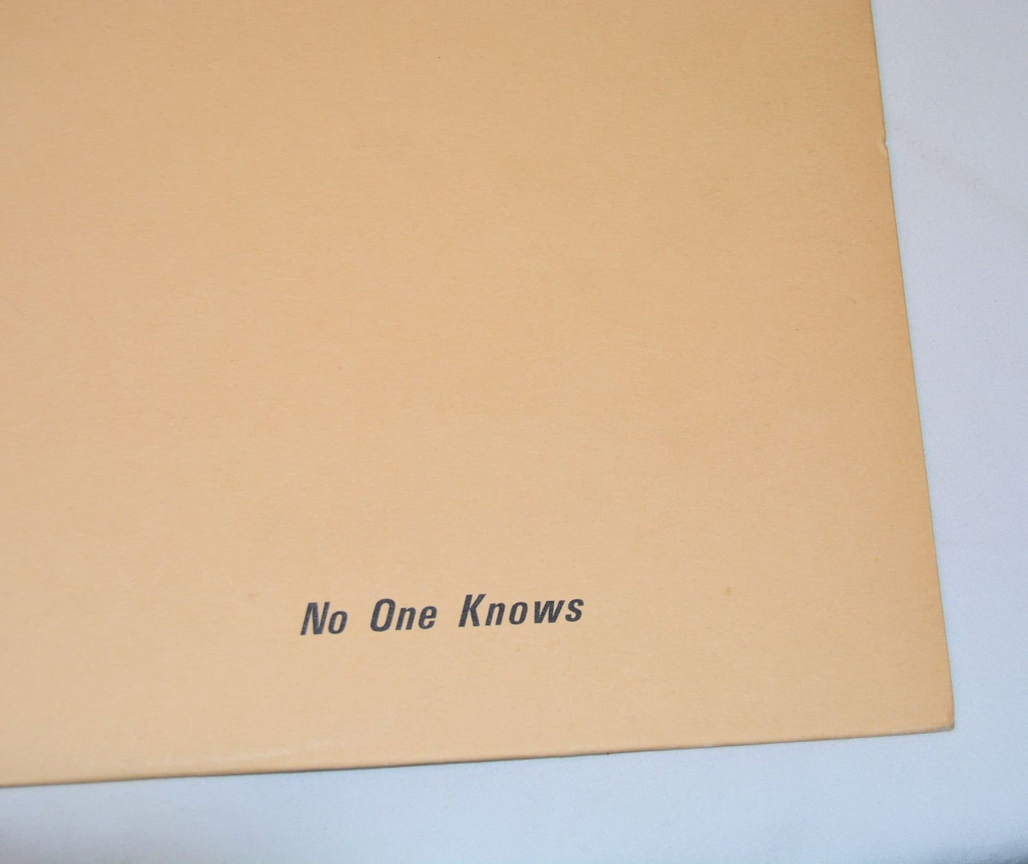 Feelies, The - No One Knows