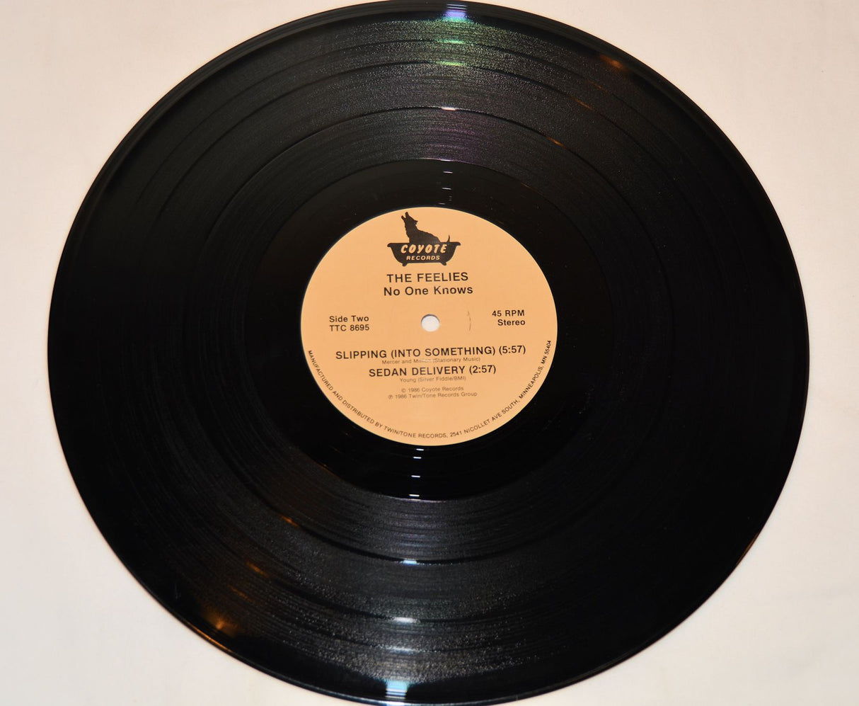 Feelies, The - No One Knows