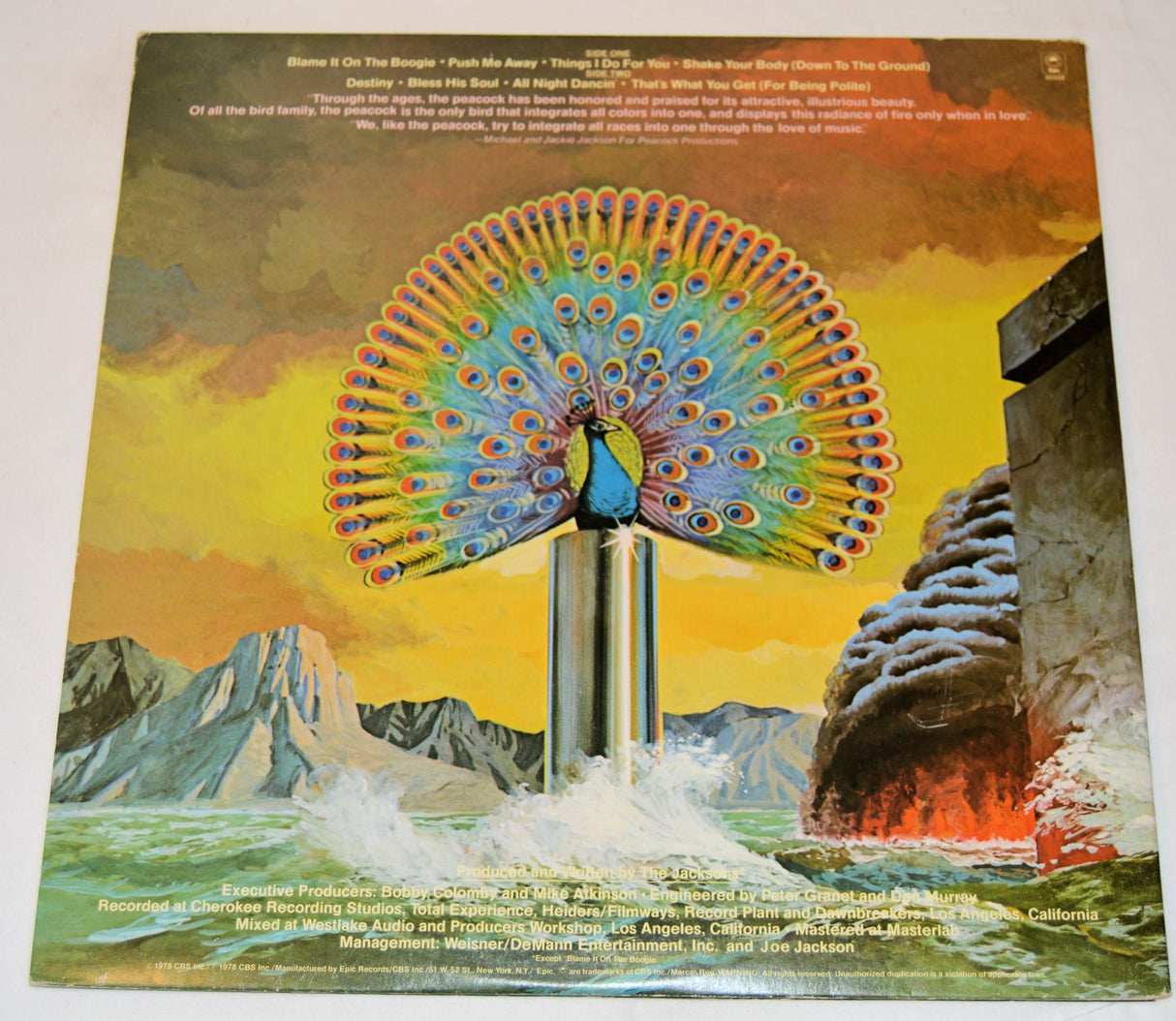 Jacksons, The - Destiny