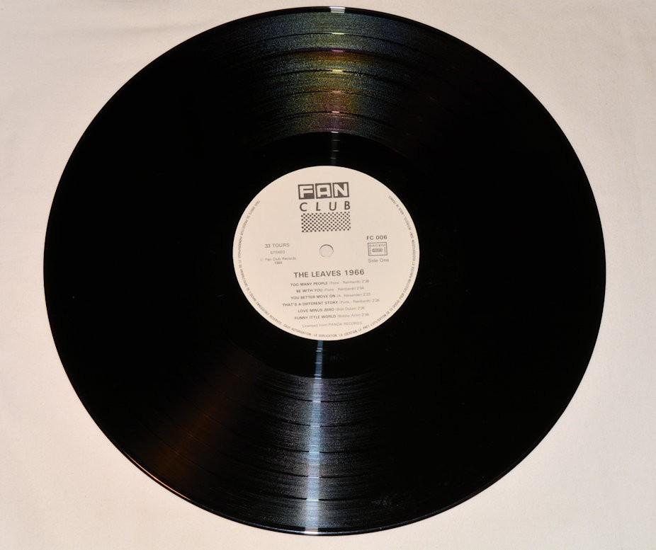 Leaves, The - 1966