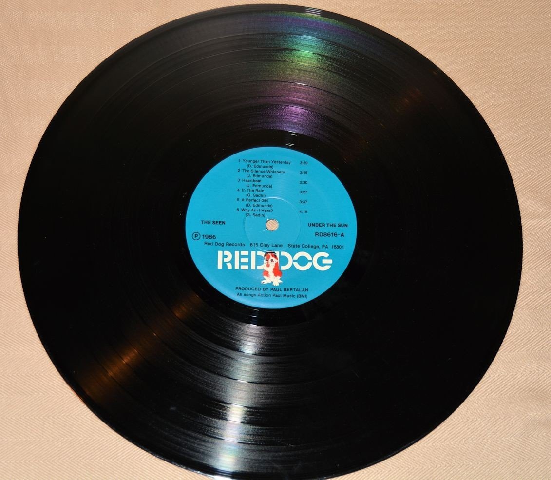 Seen, The - Under The Sun