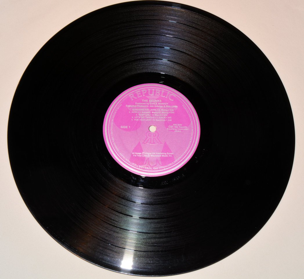 Skunks, The - The Skunks