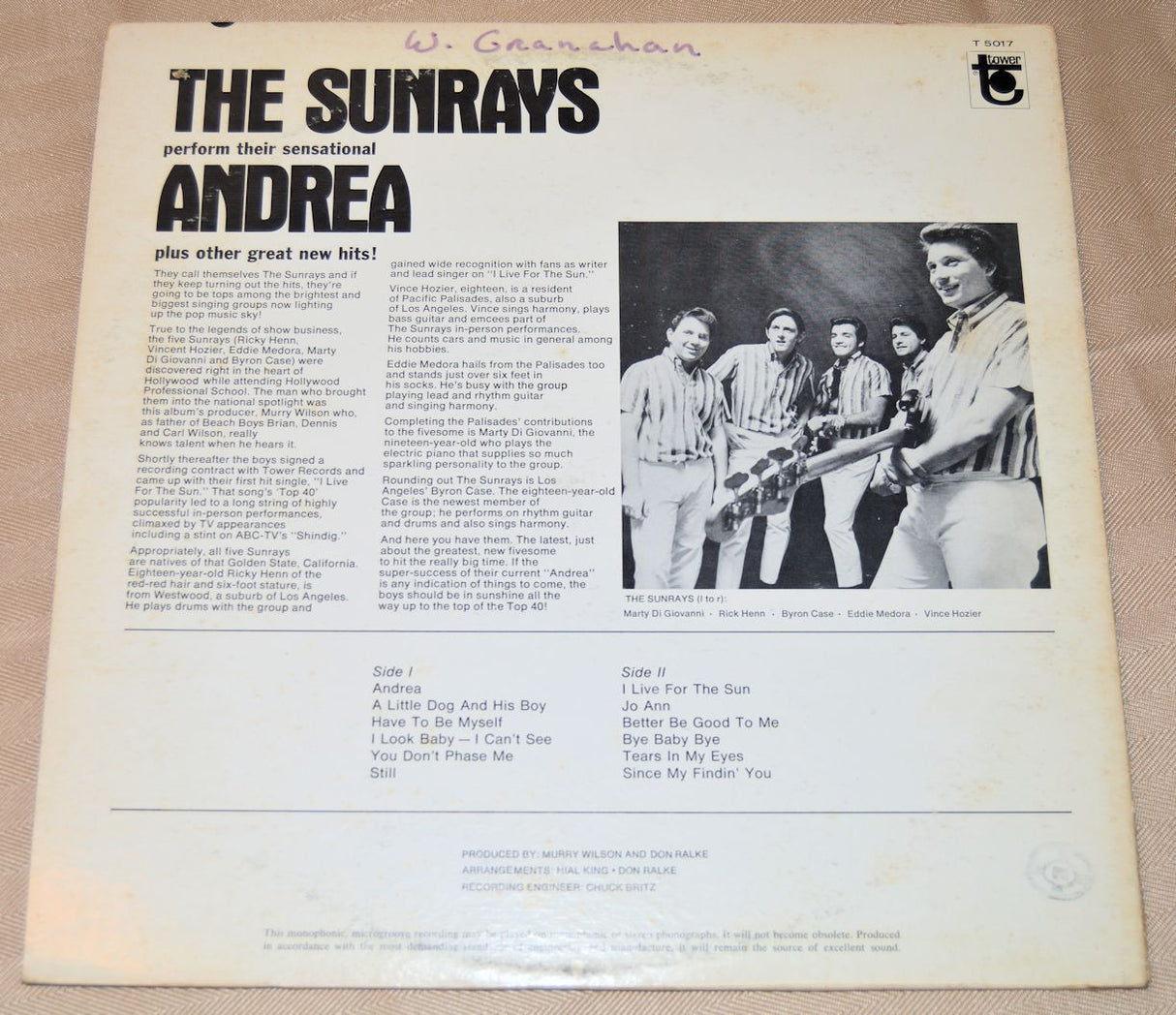 Sunrays, The - Andrea