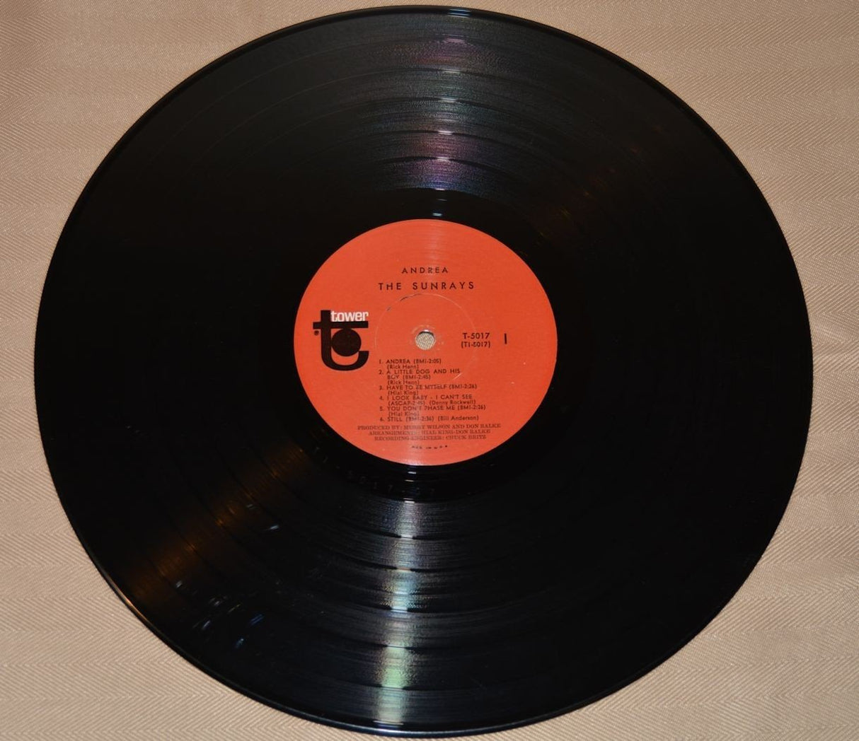 Sunrays, The - Andrea