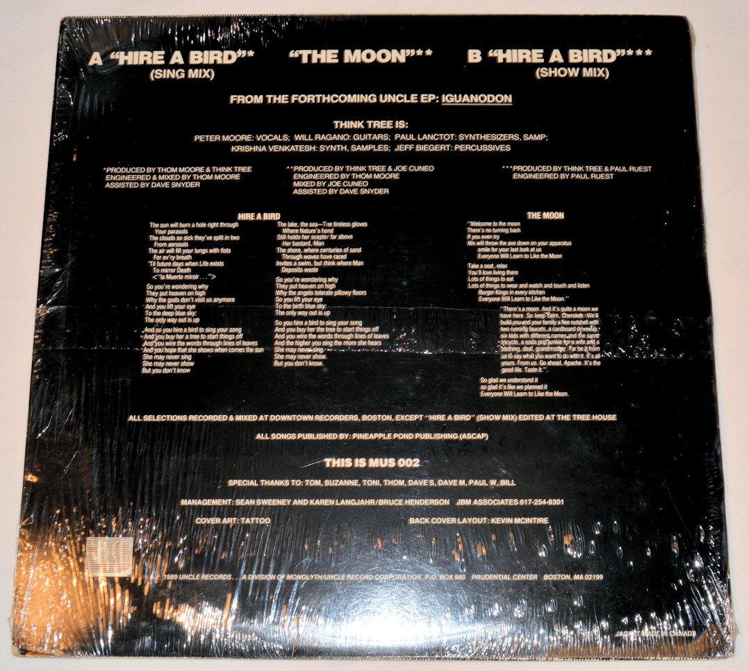 Think Tree - Hire A Bird