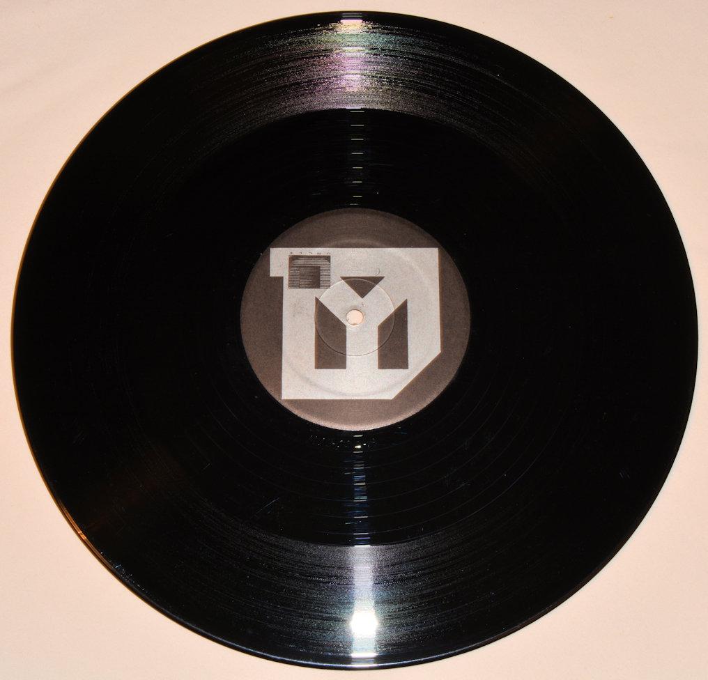 Think Tree - Hire A Bird