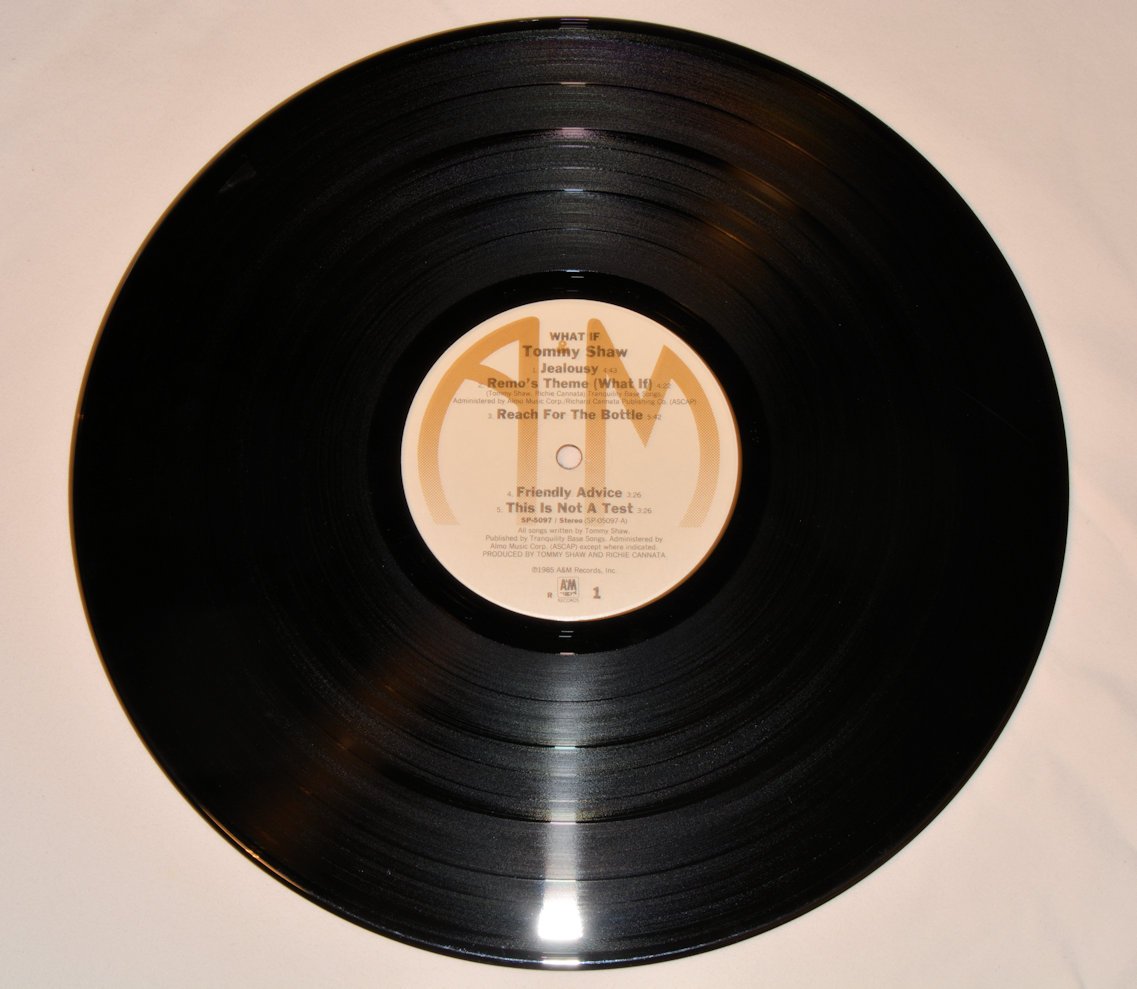 Shaw, Tommy - What If