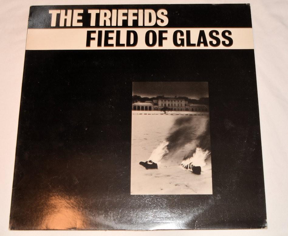 Triffids, The - Field Of Glass