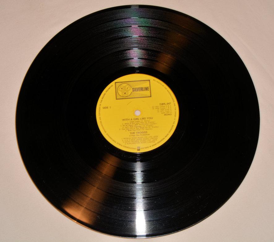 Troggs, The - With A Girl Like You