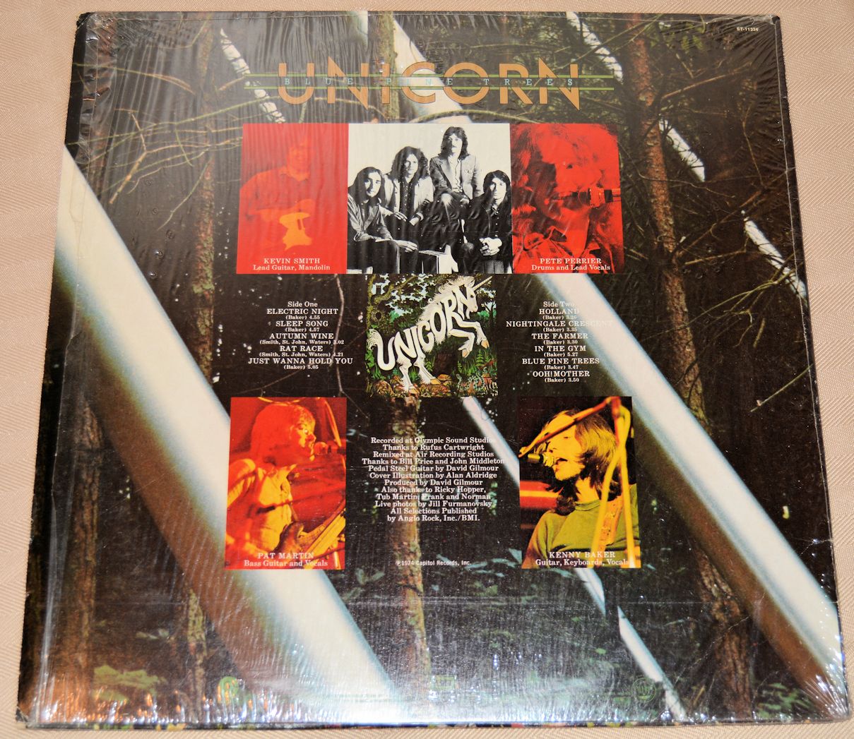 Unicorn - Blue Pine Trees