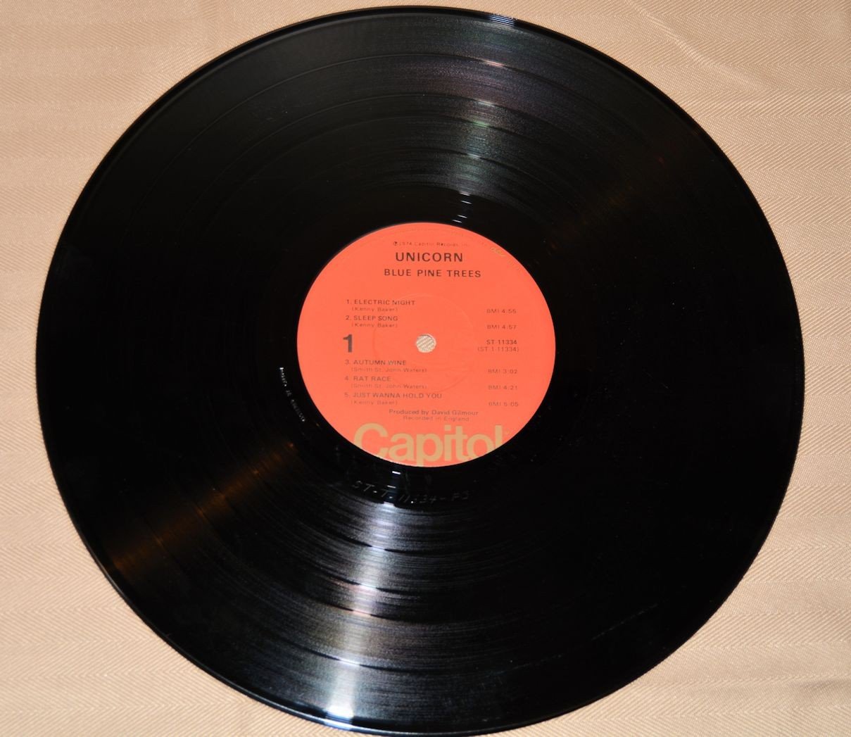 Unicorn - Blue Pine Trees