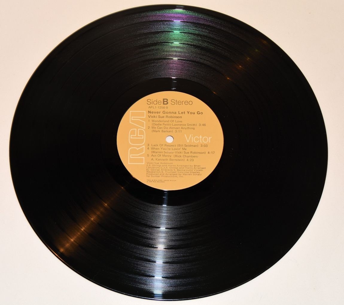 Robinson, Vicki Sue - Never Gonna Let You Go