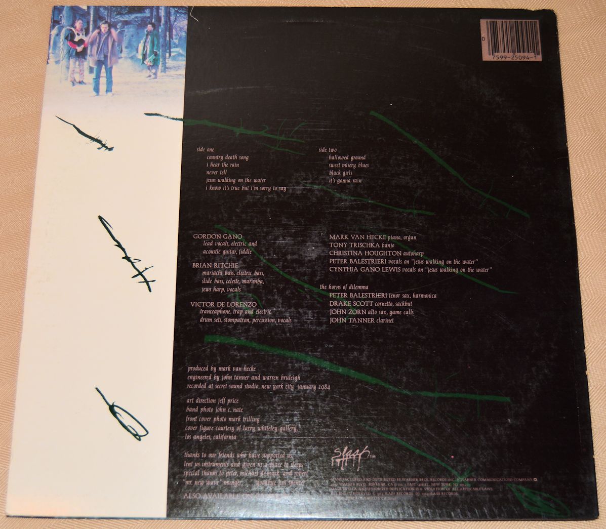 Violent Femmes - Hallowed Ground