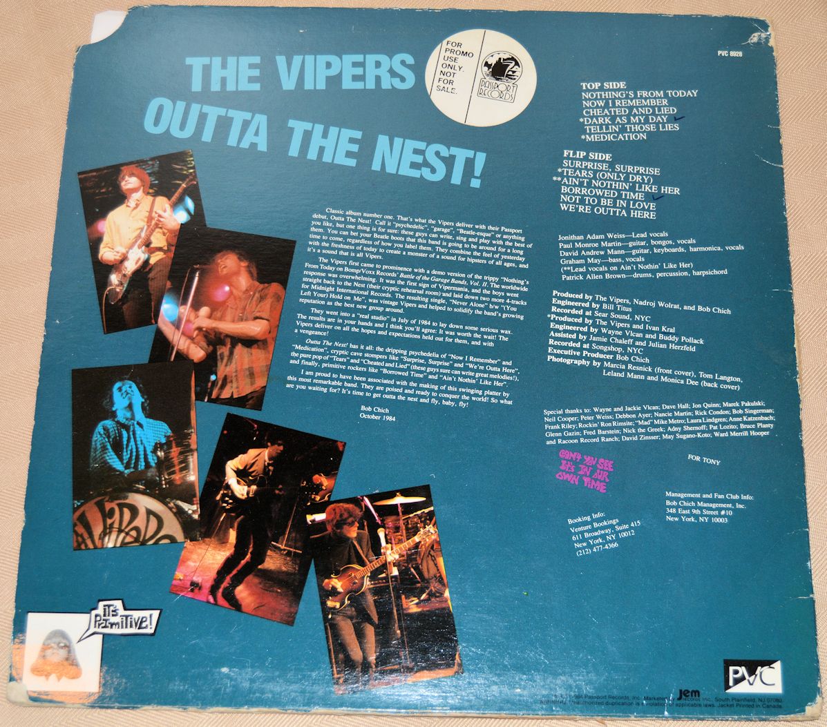 Vipers, The - Outta The Nest!