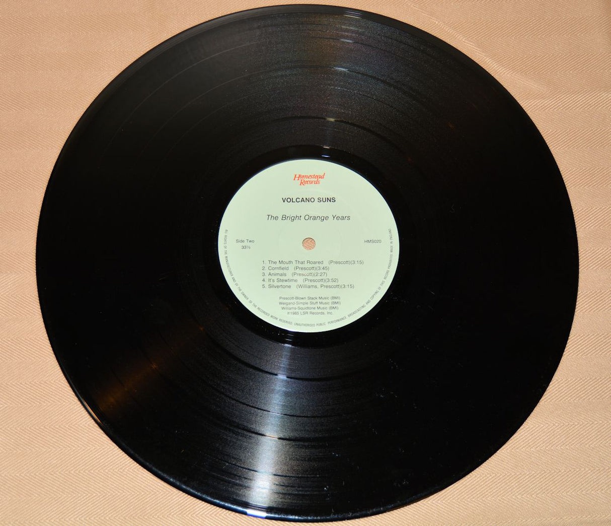 Volcano Suns - The Bright Orange Years