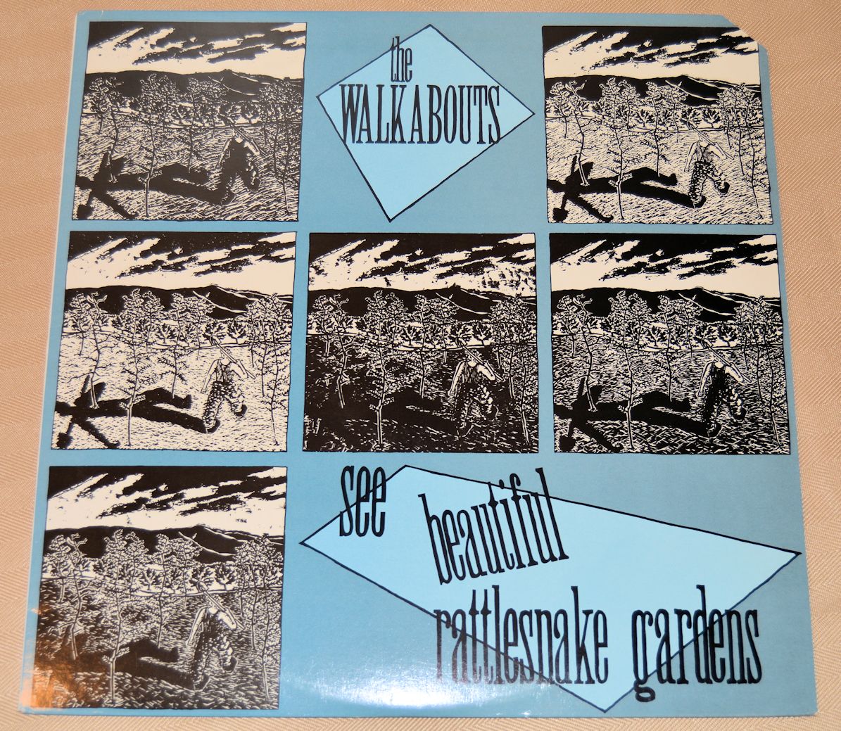 Walkabouts, The - See Beautiful Rattlesnake Gardens