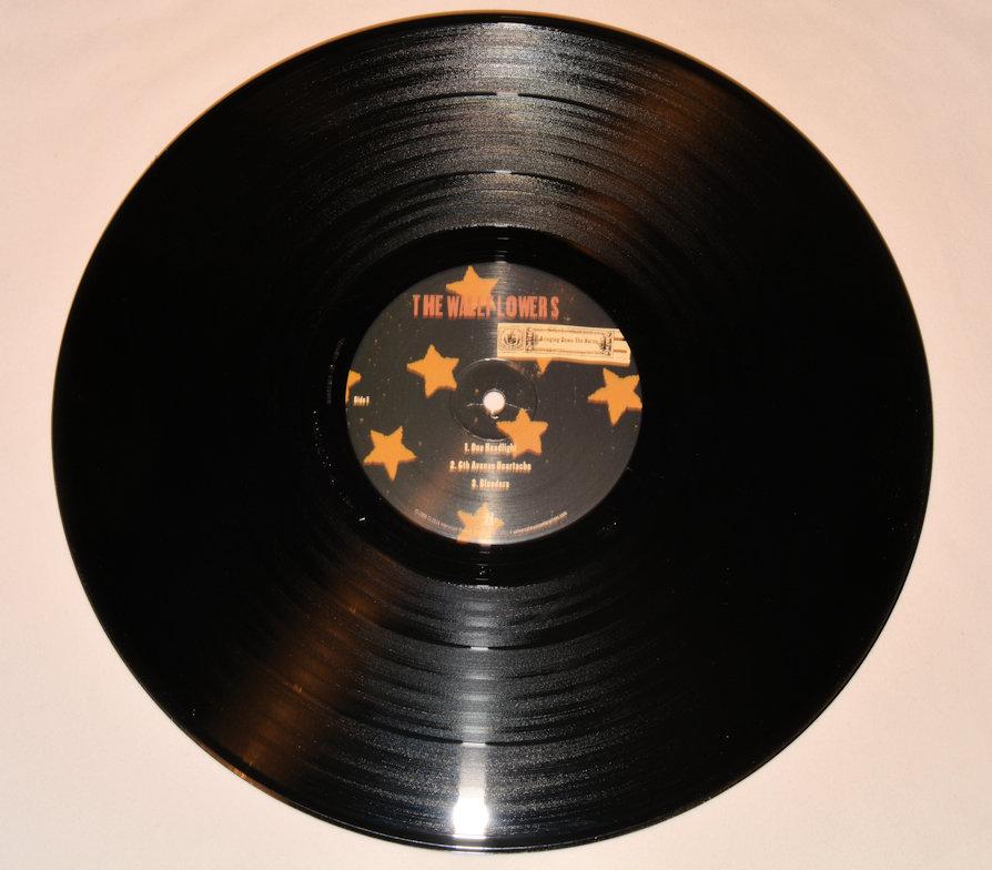 Wallflowers, The - Bringing Down The Horse