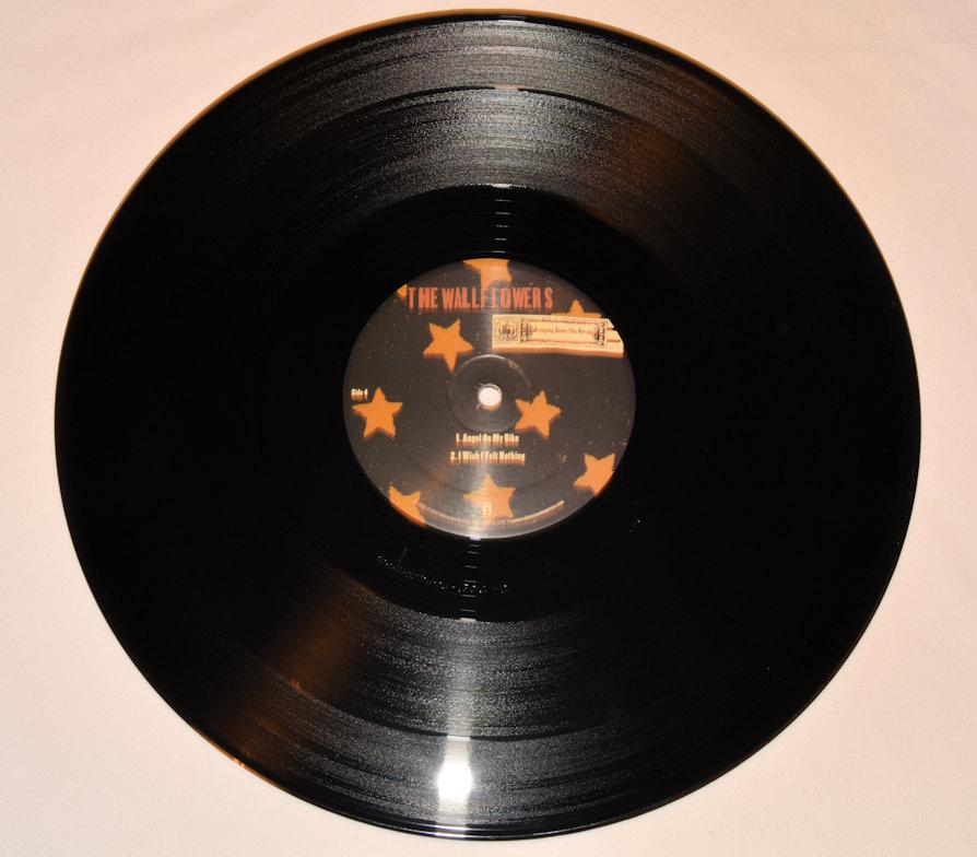 Wallflowers, The - Bringing Down The Horse