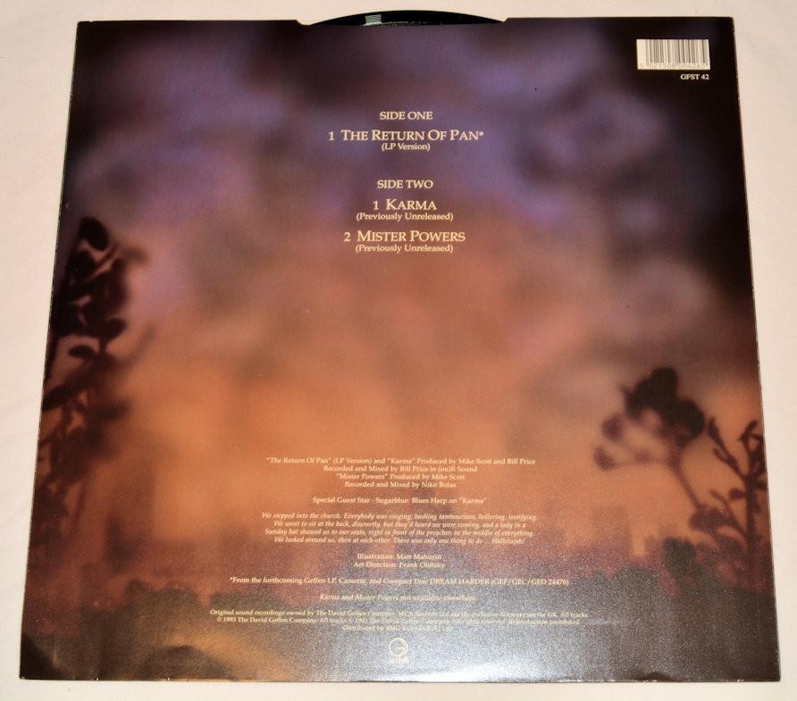 Waterboys, The - Return Of Pan