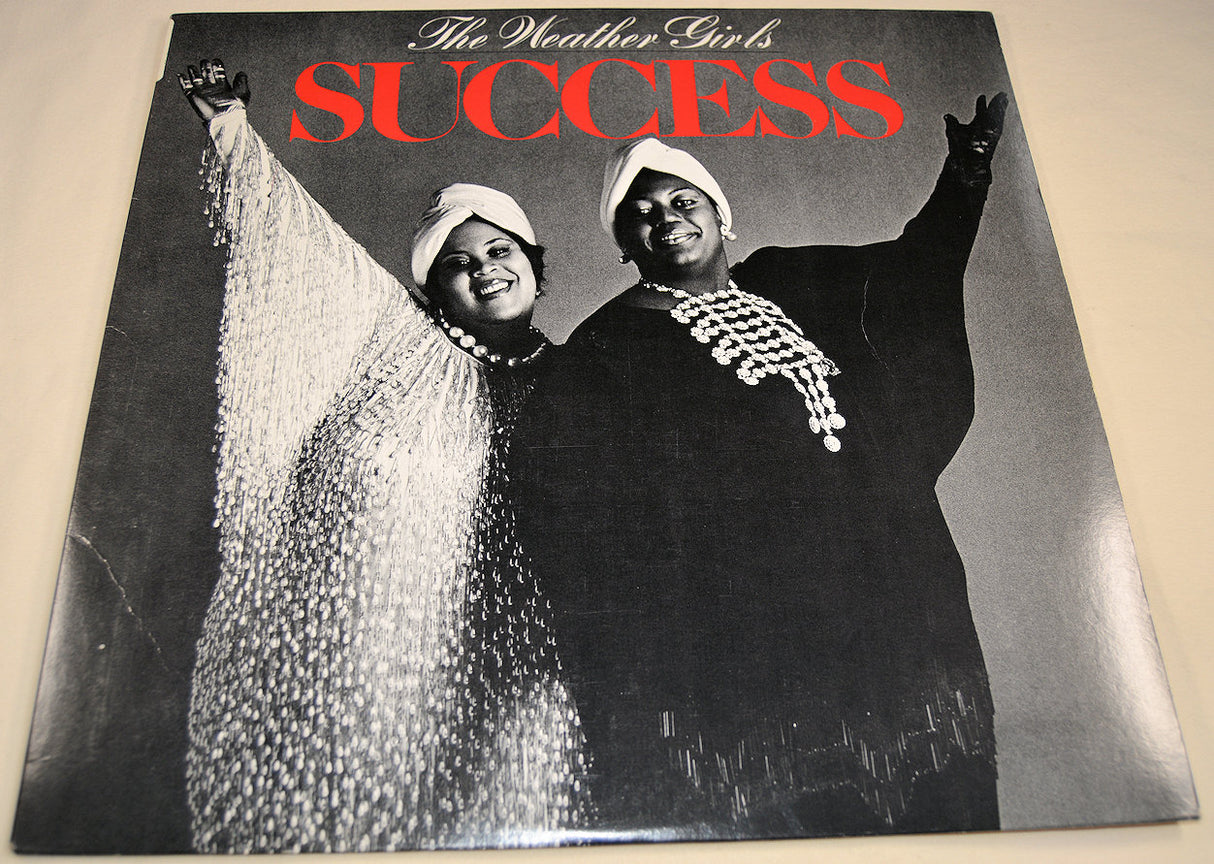 Weather Girls - Succes