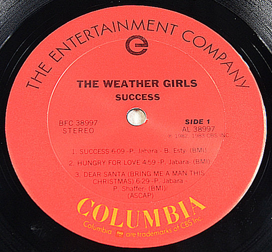 Weather Girls - Succes