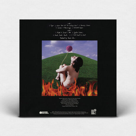 Cole, Paula - This Fire