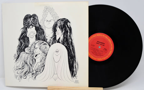 Vinyl record with a stylized cover illustration of three figures.