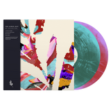 Vinyl record with colorful design and cover on a white background