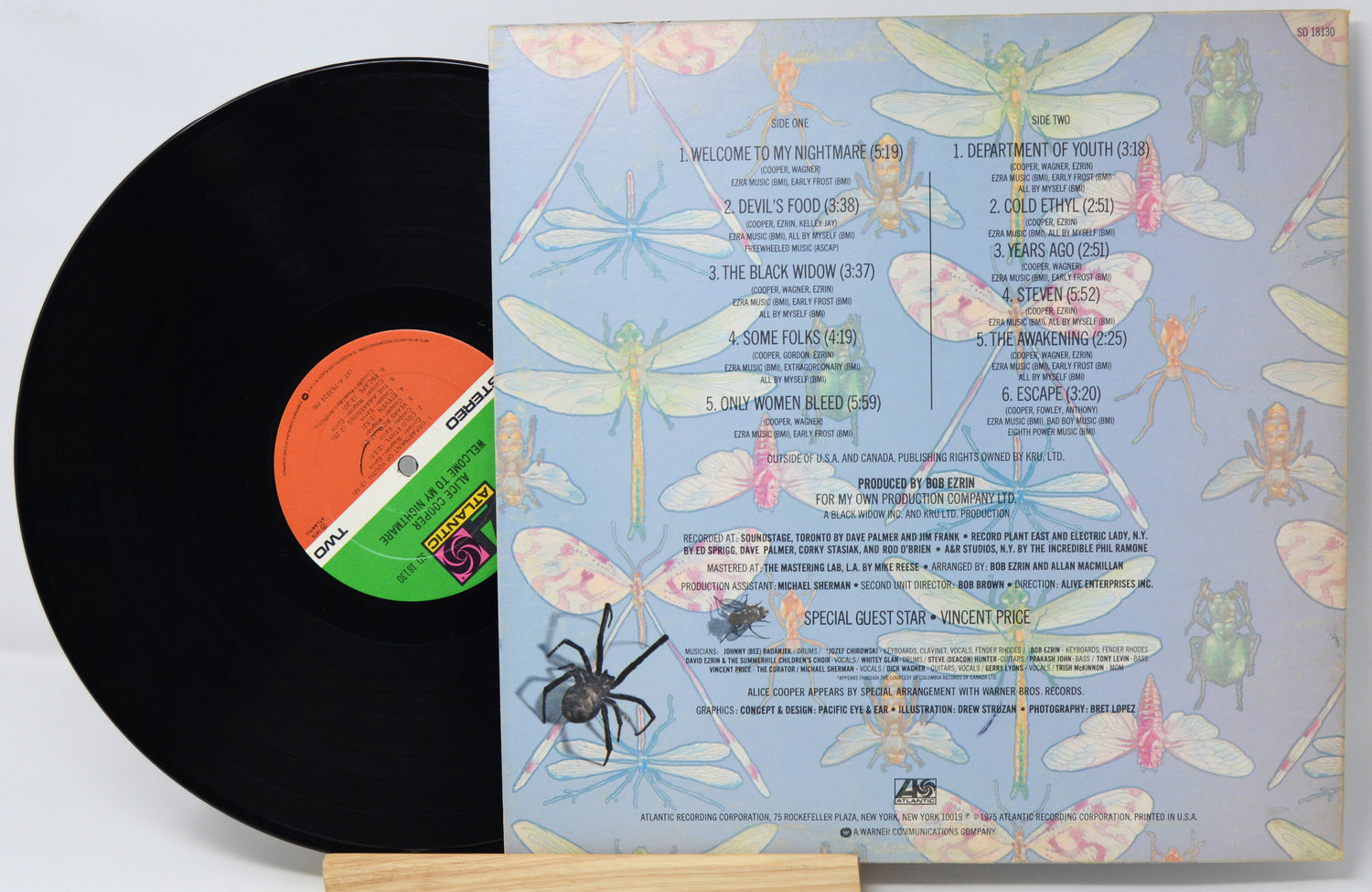 Vinyl record with colorful dragonfly design on the cover