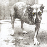 Black and white image of a dog with yellow eyes on a textured floor.