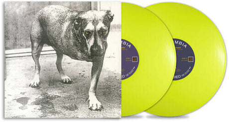 Vinyl records with a dog image and Columbia label on a split background