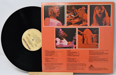 Allman Brothers Band - Beginnings