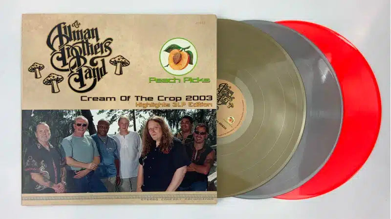 Vinyl records with a cover featuring a band photo and album details.