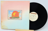 Vinyl record with a colorful cover featuring a truck and peach illustration on a light blue background.