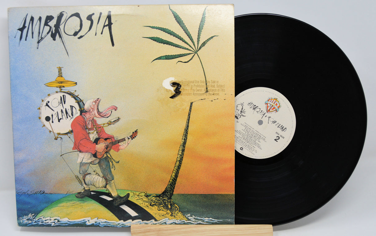 Vinyl record with colorful cover featuring a cartoon character playing guitar on a beach.