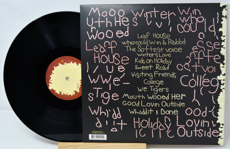 Animal Collective - Sung Tongs