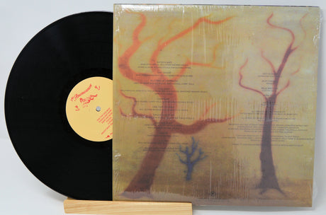 Anomoanon - Asleep Many Years In The Wood