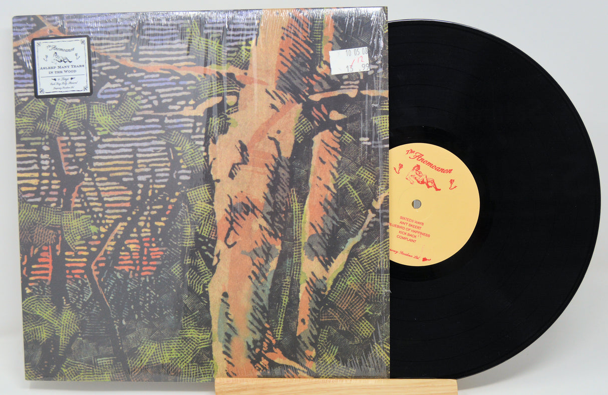 Anomoanon - Asleep Many Years In The Wood