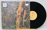 Anomoanon - Asleep Many Years In The Wood