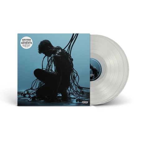 Vinyl record with a blue cover featuring a silhouette of a person and a clear vinyl disc.
