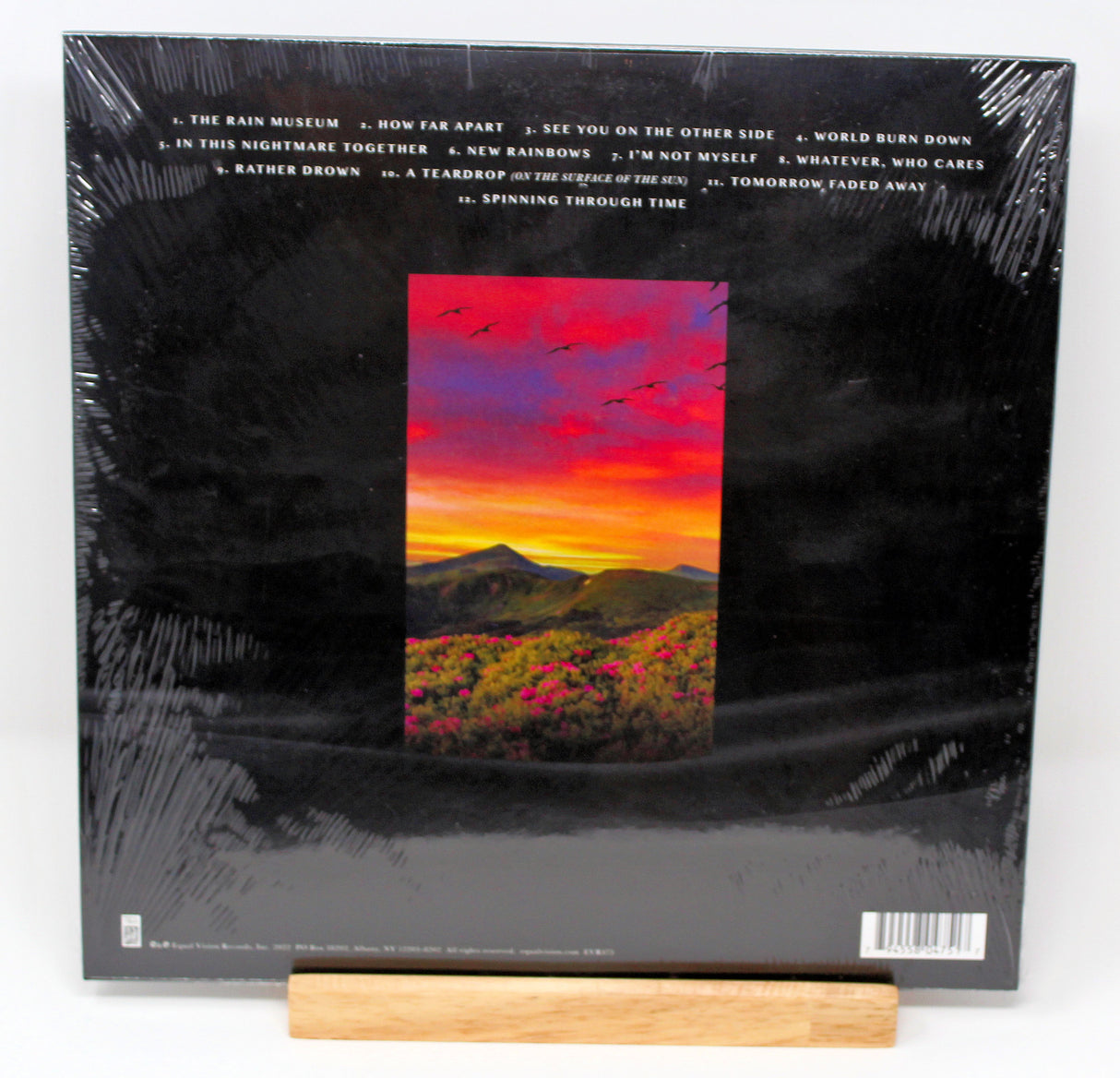 Limited hot pink/black splatter vinyl record album cover for Armor For Sleep - The Rain Museum, with a graphical representation of a desert landscape and pink flowers.