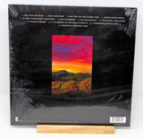 Limited hot pink/black splatter vinyl record album cover for Armor For Sleep - The Rain Museum, with a graphical representation of a desert landscape and pink flowers.