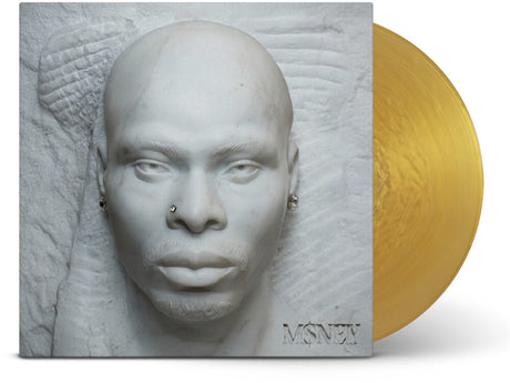 Vinyl record with a marble-like cover featuring a face and the name 'MONEY'.