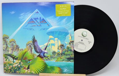 Vinyl record with a colorful album cover featuring a tropical scene and geometric shapes.
