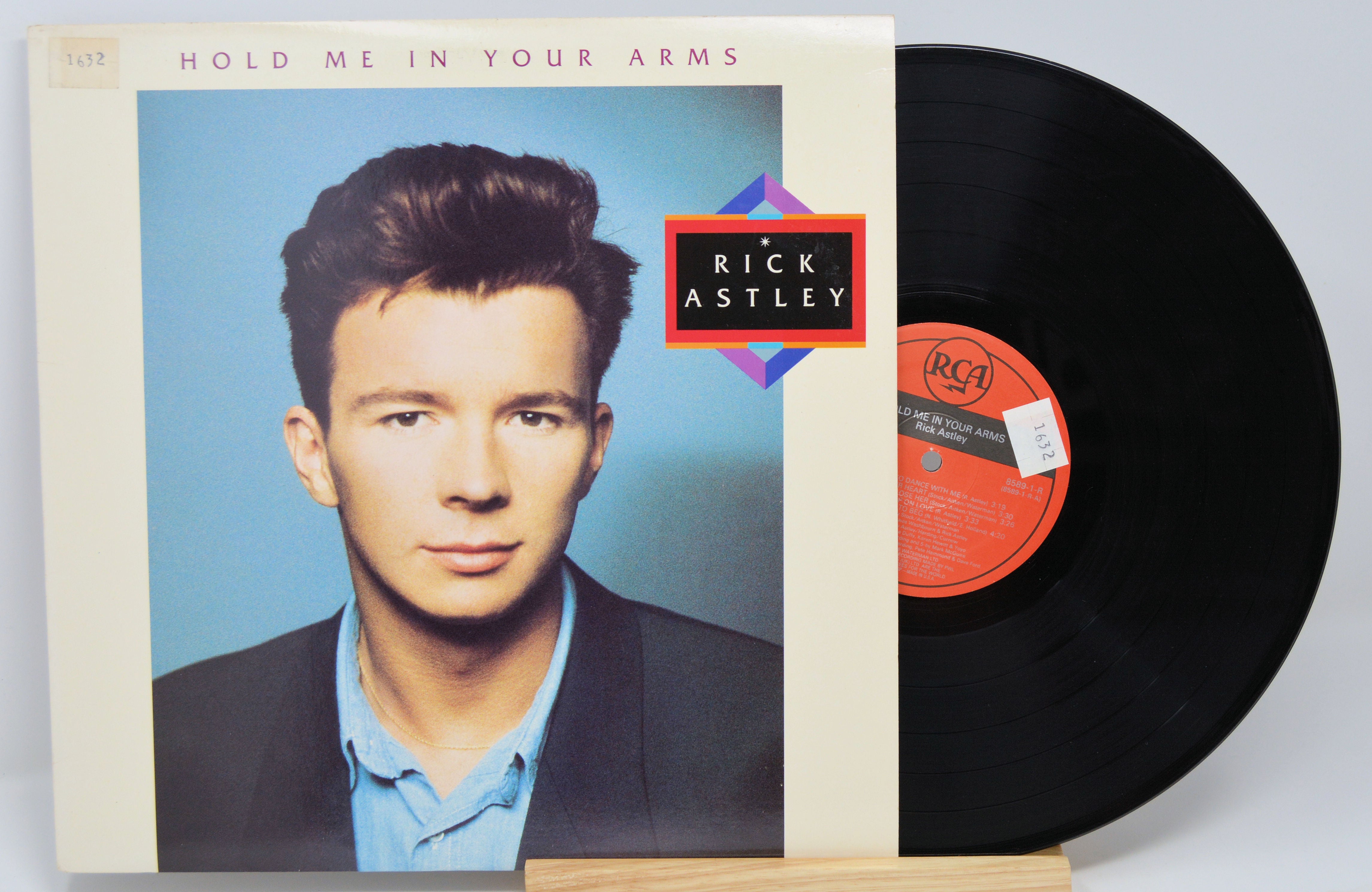 Rick Astley - Hold Me In Your Arms, Vinyl Record Album LP, BMG – Joe's ...