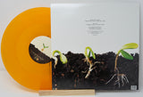 Balance And Composure / Tigers Jaw