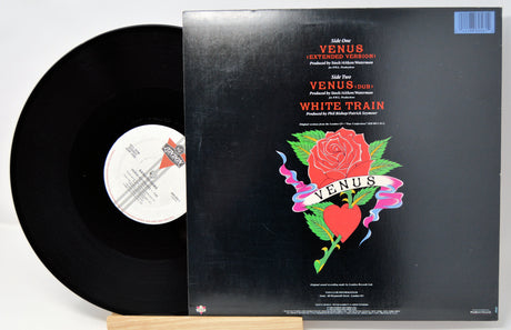 Vinyl record with colorful cover featuring a rose and text on a white background